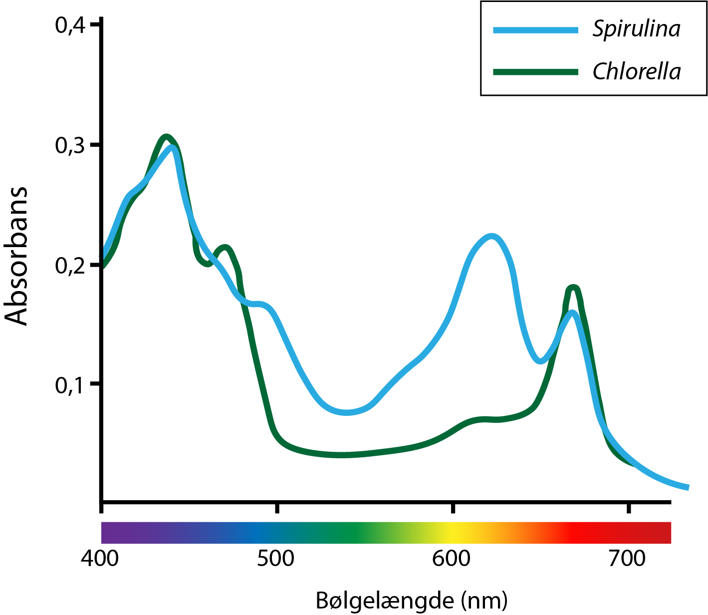 Spirulina, Chlorella,
                                Absorbans, 
                                bølgelængde (nm)