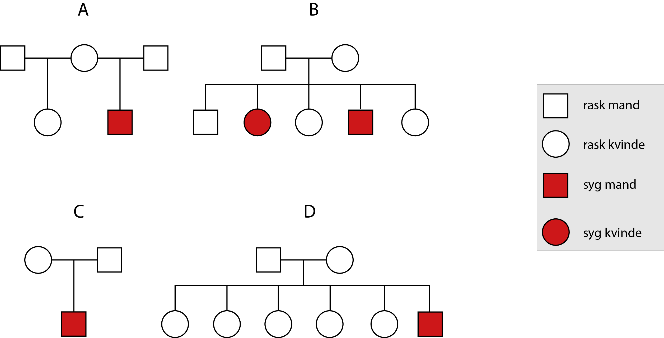 A, B, C, D, 
                                rask mand, rask kvinde, syg mand, syg kvinde.