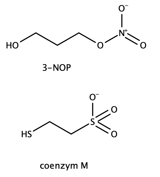 
              coenzym M
              