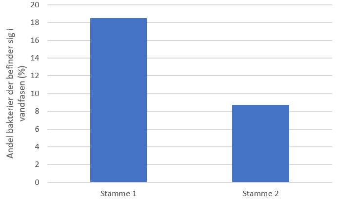 
              Andel bakterier der befinder sig i vandfasen (%)
              Stamme 1
              Stamme 2
              