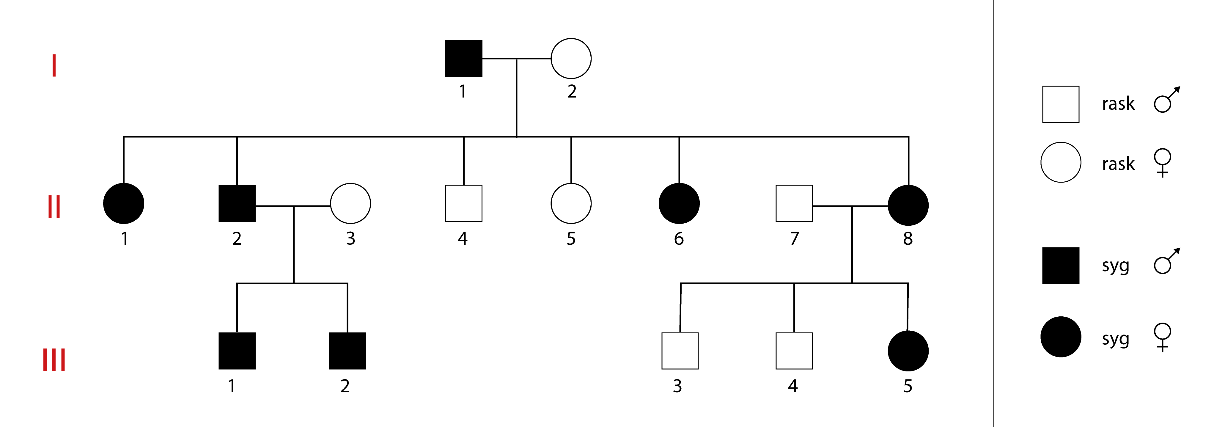 
                rask
                rask
                syg
                syg
                