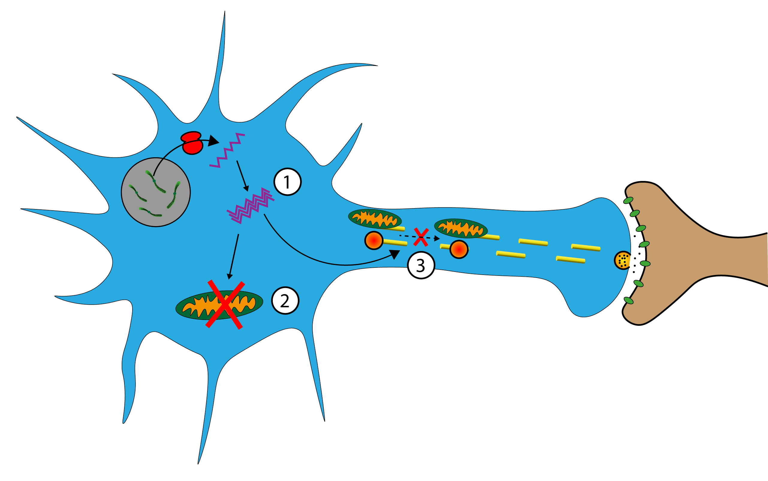 
                1
                2
                3