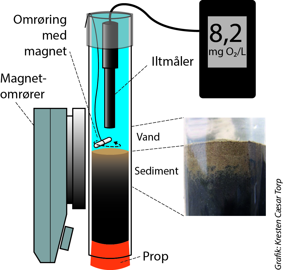 
                Omrøring med magnet
                Magnet-omrører
                Iltmåler
                8,2 mg 02/L
                Vand
                Sediment
                Prop
                Grafik: Kresten Cæsar Torp
                