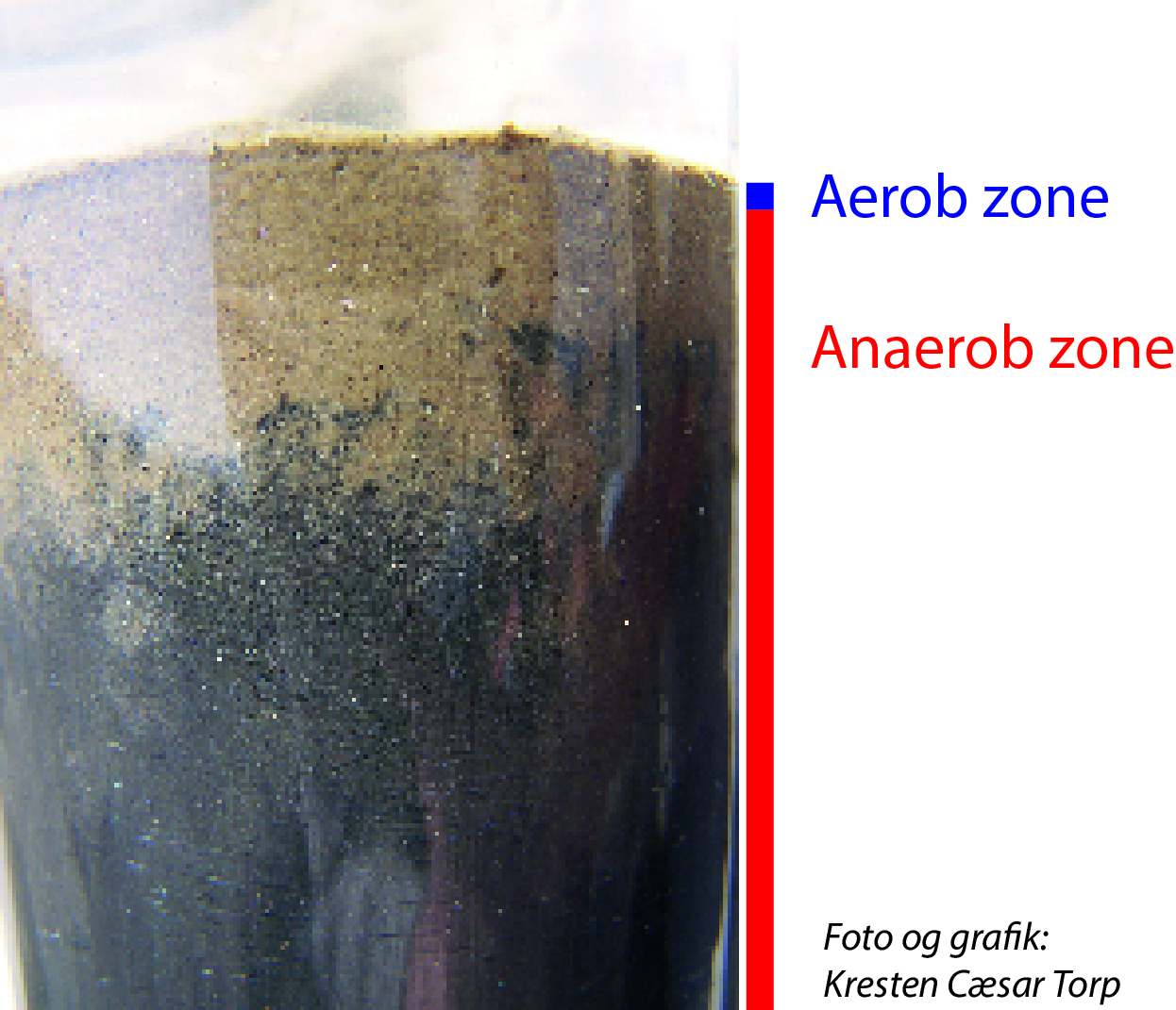 
                Aerob zone
                Anaerob zone
                
                Foto og grafik: 
                Kresten Cæsar Torp
                