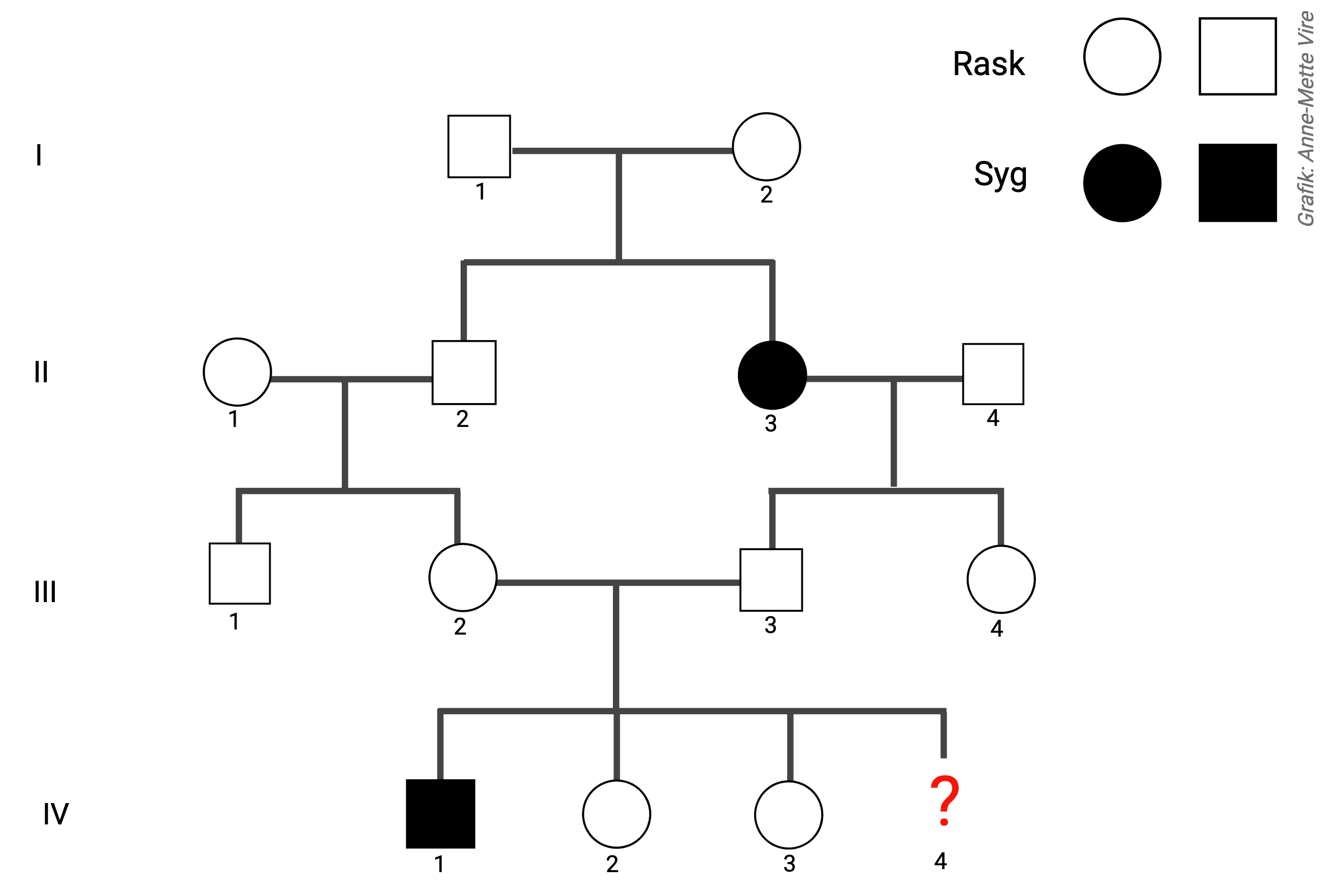 Rask
                Syg
                Grafik: Anne-Mette Vire