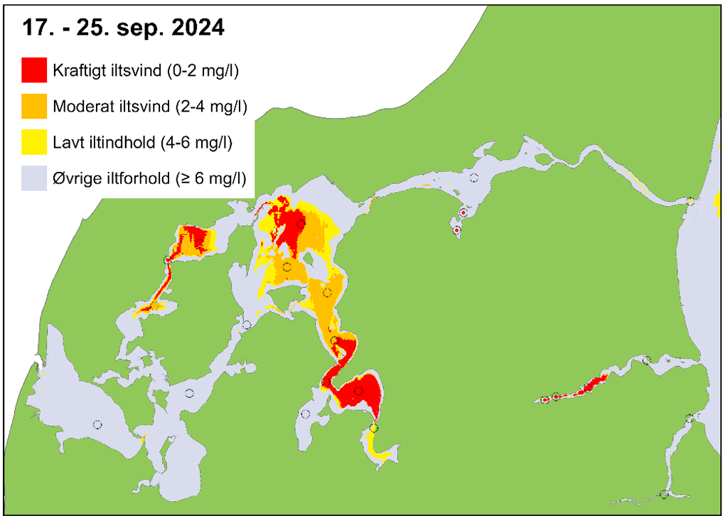 
                17. - 25. sep. 2024
                Kraftigt iltsvind (0-2 mg/l)
                Moderat iltsvind (2-4 mg/l)
                Lav iltindhold (4-6 mg/l)
                Øvrigt iltforhold (> 6 mg/l)
                