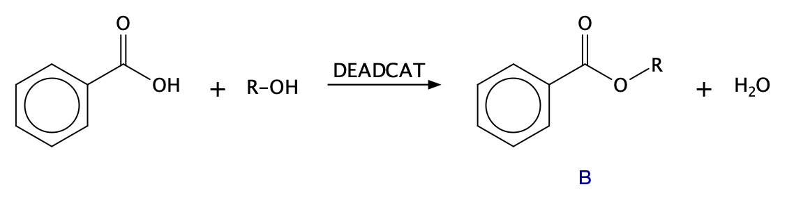 DEADCAT