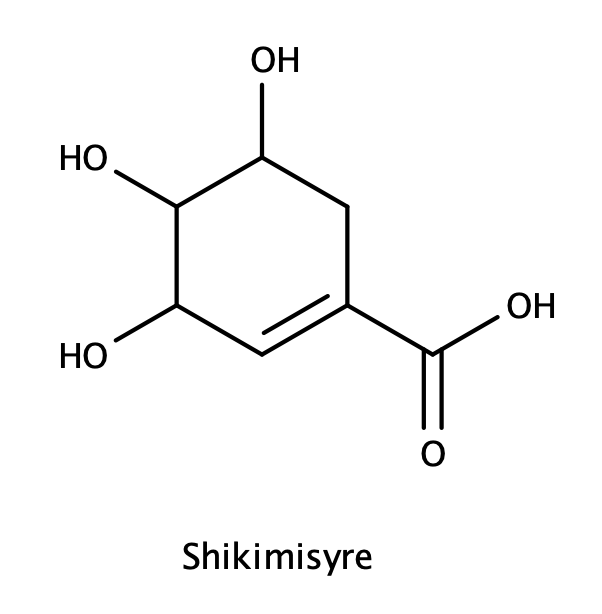 Shikimisyre