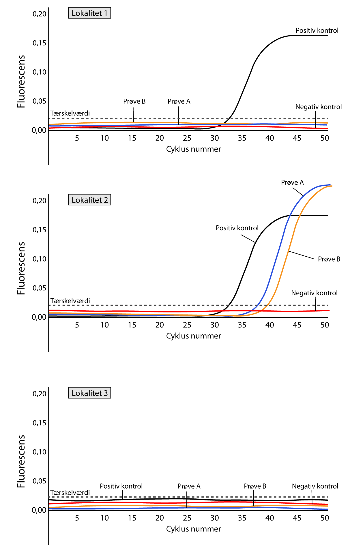 
                                Fluorescens
                                Lokalitet 1
                                Tærskelværdi 
                                Prøve B
                                Prøve A 
                                Positiv kontrol
                                Negativ kontrol
                                Cyklus nummer

                                Fluorescens
                                Lokalitet 2
                                Tærskelværdi
                                Positiv kontrol
                                Prøve A
                                Prøve B
                                Negativ kontrol
                                Cyklus nummer

                                Fluorescens
                                Lokalitet 3
                                Tærskelværdi
                                Positiv kontrol
                                Prøve A
                                Prøve B
                                Negativ kontrol
                                Cyklus nummer
                                