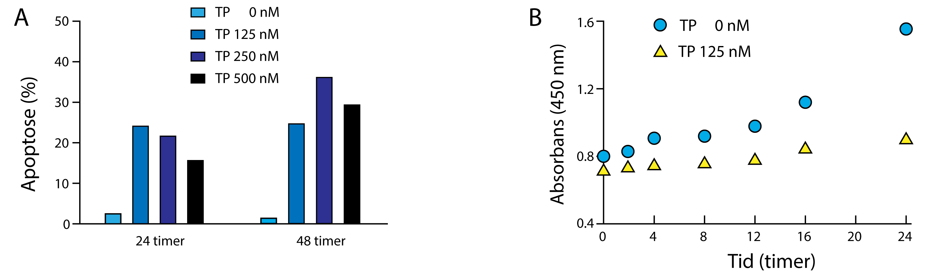 A Apoptose (%)
                                TP 0 nM
                                TP 125 nM
                                TP 250 nM
                                TP 500 nM
                                24 timer
                                48 timer

                                B Absorbans (450 nm)
                                TP 0 nM
                                TP 125 nM 
                                Tid (timer)
                                