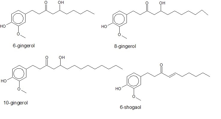 6-gingerol, 8-gingerol, 10-gingerol, 6-shogaol