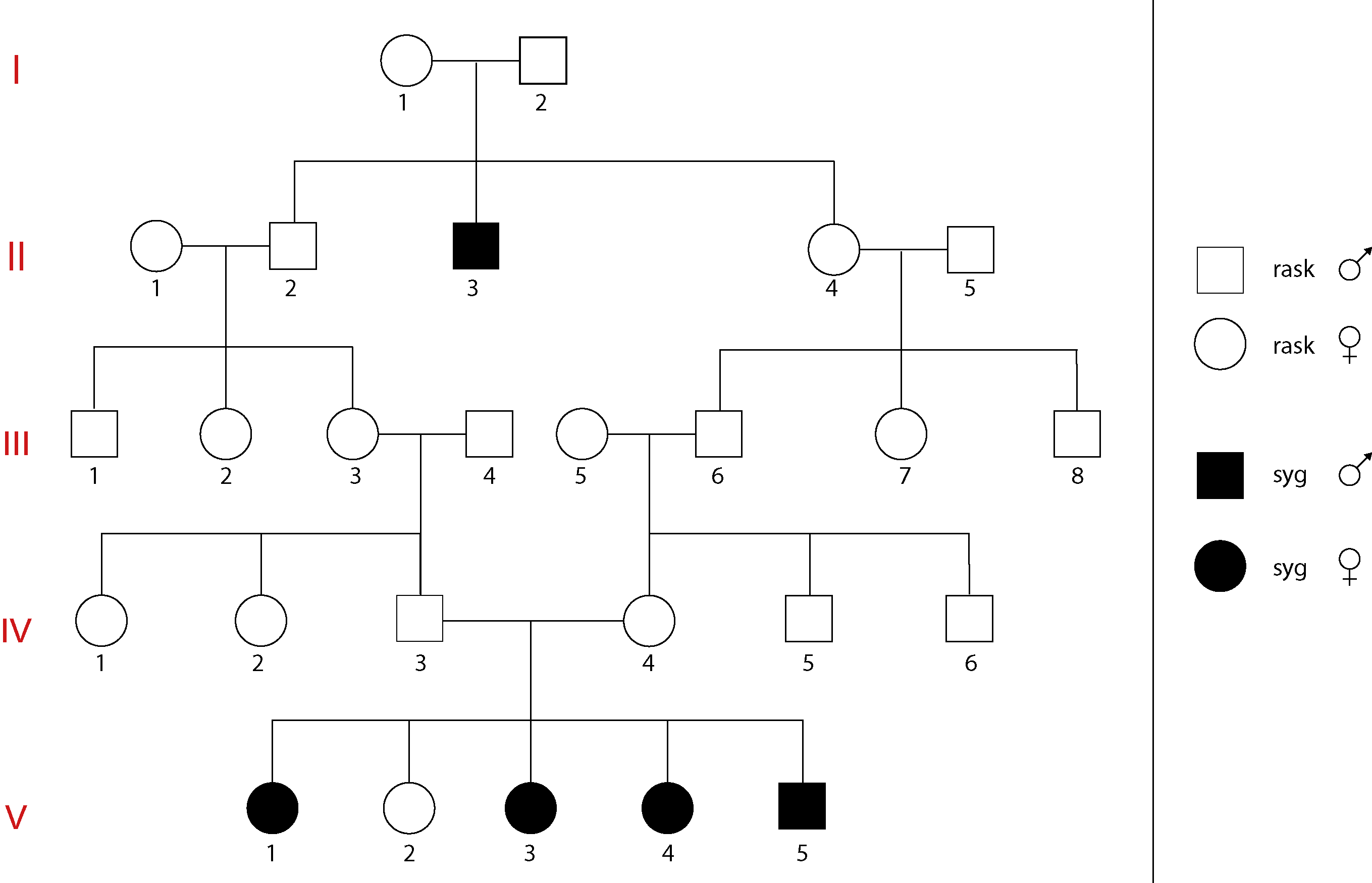 rask, rask, syg, syg