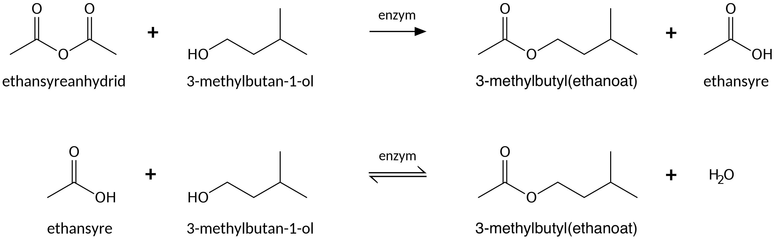
                                                ethansyreanhydrid
                                                3-methylbutan-1-ol
                                                enzym
                                                3-methylbutyl(ethanoat)
                                                ethansyre
                                                ethansyre
                                                3-methylbutan-1-ol
                                                enzym
                                                3-methylbutyl(ethanoat)
                                                