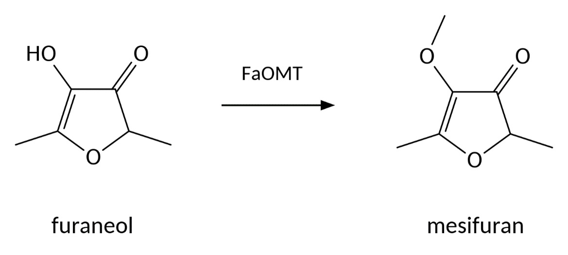 furaneol. mesifuran