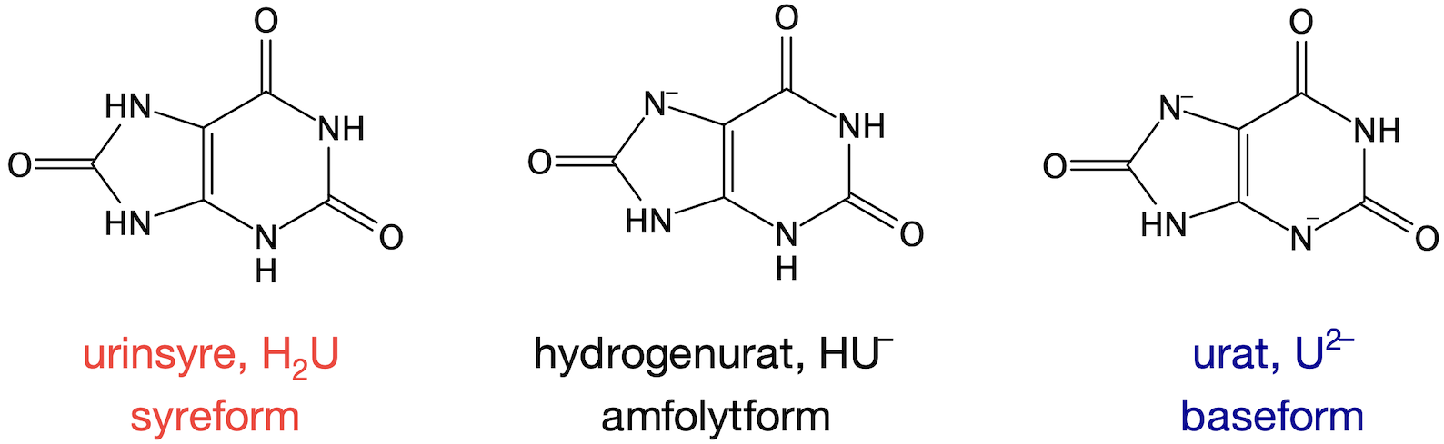 
                                            urinsyre, H₂U
                                            syreform

                                            hydrogenuat, HU⁻
                                            amfolytform

                                            urat, U²⁻
                                            baseform
                                            